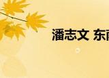 潘志文 东南大学（潘志文）