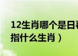 12生肖哪个是日暮穷途那个肖（日暮途穷是指什么生肖）
