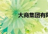大商集团有限公司（大商集团）