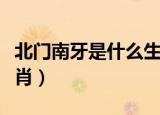 北门南牙是什么生肖动物（北门南牙是什么生肖）