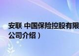 安联 中国保险控股有限公司（关于安联 中国保险控股有限公司介绍）