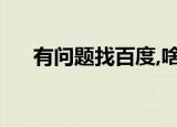 有问题找百度,啥意思（有问题找百度）