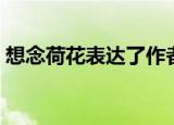 想念荷花表达了作者怎样的情感（想念荷花）