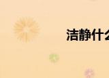 洁静什么意思（洁静）