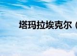 塔玛拉埃克尔（塔玛拉 埃克尔斯通）