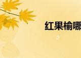 红果榆哪里有（红果榆）