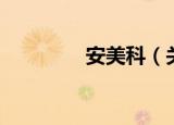 安美科（关于安美科介绍）