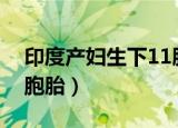 印度产妇生下11胎（印度女子一次产下十一胞胎）