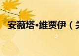 安薇塔·维贾伊（关于安薇塔·维贾伊介绍）