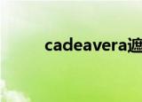 cadeavera遮暇棒（cadeavera）