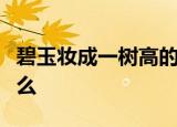 碧玉妆成一树高的作者把柳树的叶子比喻成什么