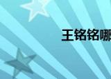 王铭铭哪里人（王铭铭）