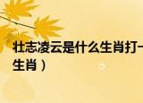 壮志凌云是什么生肖打一生肖为什么是狗（壮志凌云是什么生肖）