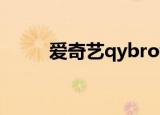 爱奇艺qybrowser（y browser）