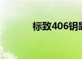 标致406钥匙匹配（标志406）