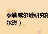 泰勒威尔逊研究的核反应堆是哪种（泰勒 威尔逊）