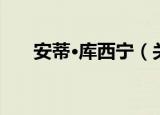 安蒂·库西宁（关于安蒂·库西宁介绍）
