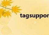 tagsupport radio 选中 监听