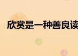 欣赏是一种善良读后感（欣赏是一种善良）