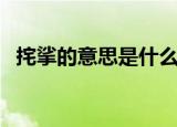 挓挲的意思是什么写（挓挲的意思是什么）