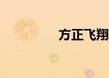 方正飞翔h5（方正飞翔）
