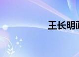 王长明画家（王长明）