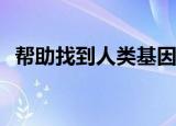  帮助找到人类基因组中缺失和重复的新方法