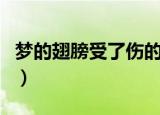 梦的翅膀受了伤的歌词（梦的翅膀受了伤歌词）