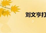 刘文亨打金枝（刘文亨）