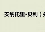 安纳托里·贝利（关于安纳托里·贝利介绍）