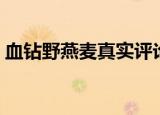血钻野燕麦真实评论（血钻野燕麦是真是假）