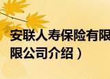 安联人寿保险有限公司（关于安联人寿保险有限公司介绍）
