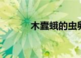 木蠹蛾的虫卵（小线角木蠹蛾）