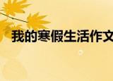我的寒假生活作文600字（我的寒假生活）