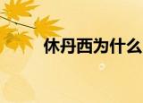 休丹西为什么叫小茶杯（休 丹西）