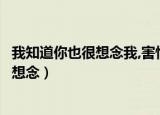 我知道你也很想念我,害怕我消失在茫茫人海（我知道你也很想念）