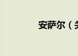 安萨尔（关于安萨尔介绍）