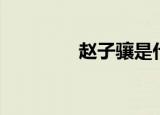 赵子骧是什么人（赵家骧）