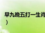 早九晚五打一生肖是什么（朝九晚五打一生肖）