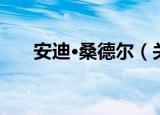 安迪·桑德尔（关于安迪·桑德尔介绍）
