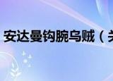 安达曼钩腕乌贼（关于安达曼钩腕乌贼介绍）