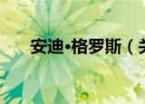 安迪·格罗斯（关于安迪·格罗斯介绍）