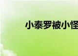 小泰罗被小怪兽追着跑（小泰罗）