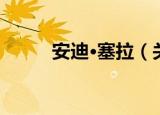 安迪·塞拉（关于安迪·塞拉介绍）