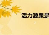活力源泉是什么（活力源泉）