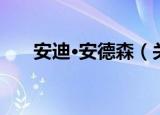 安迪·安德森（关于安迪·安德森介绍）