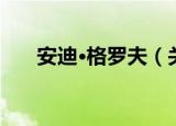 安迪·格罗夫（关于安迪·格罗夫介绍）