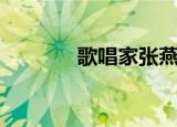 歌唱家张燕简历（张燕简历）