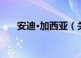 安迪·加西亚（关于安迪·加西亚介绍）