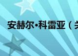 安赫尔·科雷亚（关于安赫尔·科雷亚介绍）